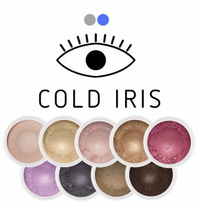 Zestaw mini cieni Cold Iris